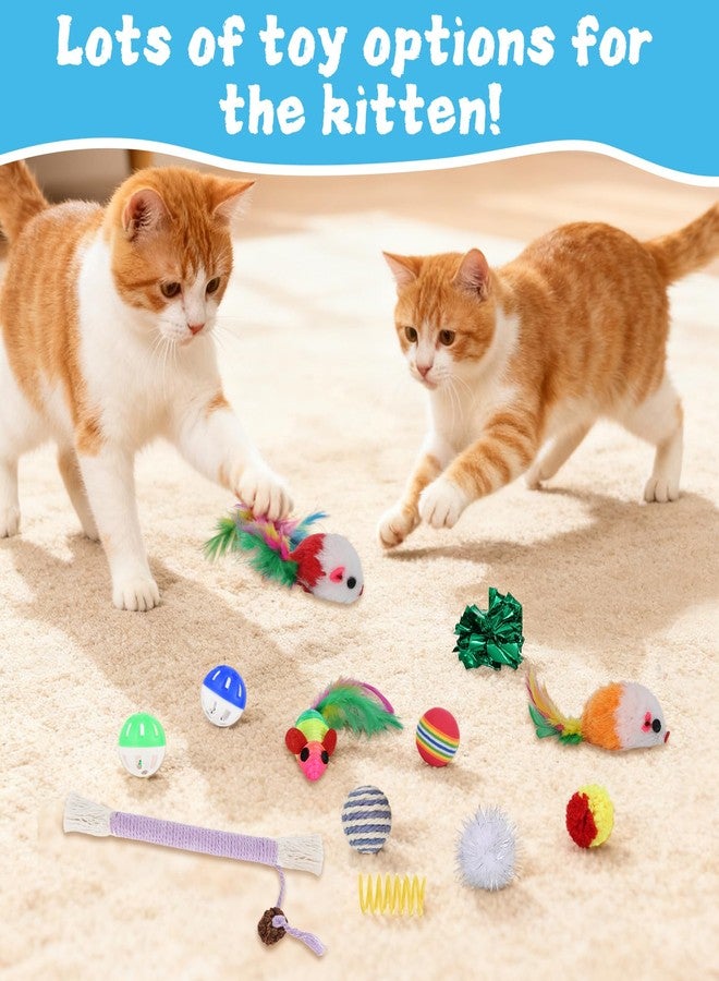 Foxtell Cat Ball Pit Include 229 PCS Interactive Cat Toys for Indoor Bored Self Play Enrichment Toy for Indoor Cats Interactive Fun and Exercise - Image 4
